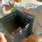 Una de las actividades realizadas.