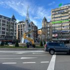 El gran árbol se instaló por primera vez en la céntrica plaza el año pasado