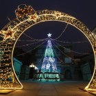 Valencia de Don Juan llenará sus calles de espíritu navideño durante las fiestas. ramiro