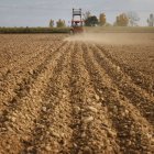 El sector está en pleno proceso de modernización.