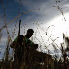 La temporada de caza menor refleja un aprobado, una decepción y un suspenso esperado.