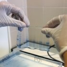 Una de las investigaciones efectuadas en el seno de Inbiotec.