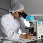 Archivo - Un investigador utiliza un microscopio.