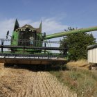 Una cosechadora en una finca de trigo en León.