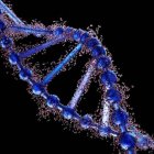 Un estudio muestra que el uso de mapas genéticos de poblaciones europeas deja fuera a otros grupos.