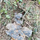 El último resto de la chatarra que había en la balsa de Berbes.