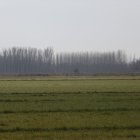 Tierras de cultivo en Santa Colomba de la Vega.