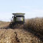 Cosecha de cereal en Villaestrigo.