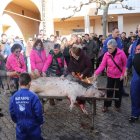 Limpieza del cerdo ante la mirada de jóvenes aprendices y público.