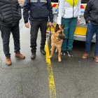 En las tareas de inspección participó un perro especialista en detección de drogas.