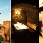 Desde la crianza en libertad hasta la maduración extrema y la degustación en una bodega excavada en piedra: así se vive la experiencia completa de El Capricho, el restaurante leonés que ha conquistado al mundo con su carne de buey.