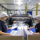 Archivo - Trabajadores en una fábrica.