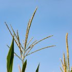 Detalle de un campo agrícola en la provincia.