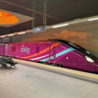 Un Avlo en la pasante provisional de León
