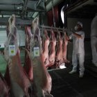 La producción de lechazo aún es muy limitada.