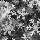 Talleer de copos de nieve.