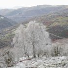 El frío está teniendo, en general, consecuencias «muy positivas» para el sector primario.