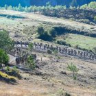 Militares del Ejército del Aire y del Espacio durante unas maniobras en la provincia de León.