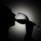 El 94 % de los españoles prefiere consumir vino en bares o restaurantes, mientras una mayoría, el 80 %, valora que los caldos pertenezcan a algunas de las denominaciones de origen (D. O.) existentes en el país. EFE/EPA/YURI KOCHETKOV.