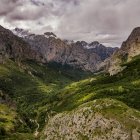 El Valle de Valdeón, encajado entre macizos rocosos, es un refugio natural donde la biodiversidad se conserva en estado puro.