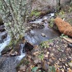 Trabajos de contención en un arroyo para evitar más arrastres de ceniza.