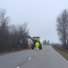 Actuaciones realizadas en la zona.