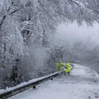 Unos operarios retiran nieve de los árboles en la carretera OU-536, a su paso por el municipio de Xunqueira de Espadañedo (Ourense). EFE/Brais Lorenzo.