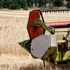 Las organizaciones agrarias rechazan la posibilidad de un recorte del 22% de los fondos destinados al campo.