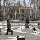 Residentes y perros en una calle de la ciudad de Orikhiv.