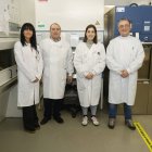 Marta Regueiro Purriños, Arsenio Fernández, Amanda Herrero y Michal Letek, en el laboratorio.