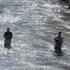 La temporada de pesca contará con caudales muy aprovechables tras un invierno humedo.