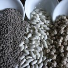 Las legumbres constituyen un alimento recomendado para todas las edades.