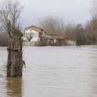 El Órbigo, a su paso por Cebrones del río, el pasado 10, cuando inundó varias zonas.