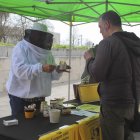 Un apicultor da a probar miel local en una jornada de concienciación en Santander.