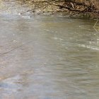La temporada de pesca está a la vuelta de la esquina.