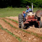 Archivo - Un agricultor en su tractor en imagen de archivo.