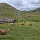 Una sentencia del TSJ de Asturias declaró ilegan la actividad ganadera de asturias en el puerto leonés.