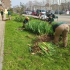 Adecuación en la zona y plantación de nuevas especies.