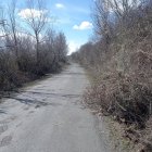 Uno de los tramos afectados por los desbroces abandonados en la LE-4615