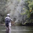 León cuenta con más de 2.000 kilómetros de ríos trucheros. Y escenarios para todos los gustos, desde los de montaña a los más tranquilos regulados por embalse.