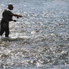 Los ríos leoneses constituyen un importante atractivo para miles de pescadores.