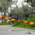 Varias personas pasean por el Parque de Collserola.