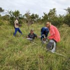 Los investigadores de la ULE, en el trabajo de campo.