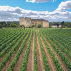 En la provincia de La Armuña este municipio tiene el alojamiento más votado de todo Castilla y León.