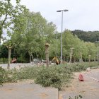 Tala de árboles en los Jardines del Sil.