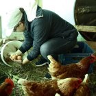 La medida ha sido muy celebrada entre los productores de huevos.