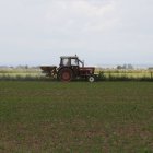 Un agricultor esparce fertizante por un campo de la provincia.