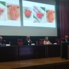 Chamorro, Santiago de la Riva, Elena Bollo y Escalante, en la jornada de enfermedades raras.