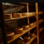 Queso Tozudo.