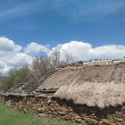 El conjunto de pajares de Villar del Monte es único en España por sus cubiertas vegetales, de 'teitu'.